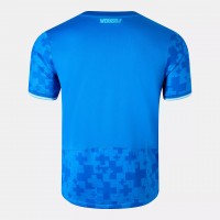 Bayer 04 Leverkusen Herren Ausweichtrikot 25-26