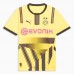 Borussia Dortmund Herren-Pokaltrikot 24-25