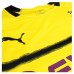 BVB Cup Home Shirt 2018-19