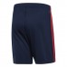 FC Bayern Third Shorts 2019-20