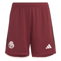 FC Bayern Herren Ausweichshorts 2023-24