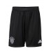 FC Bayern Herren Torwartshorts 23-24