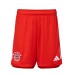 FC Bayern Herren Heimshorts 2023-24