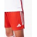 FC Bayern Herren Heimshorts 2023-24
