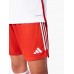 FC Bayern Herren Heimshorts 2023-24