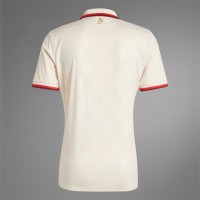 FC Bayern Herren Ausweichtrikot 24-25