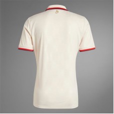 FC Bayern Herren Ausweichtrikot 24-25