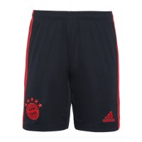 FC Bayern Herren Champions League Shorts 2022-23