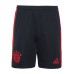 FC Bayern Herren Champions League Shorts 2022-23