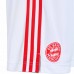 FC Bayern Third Shorts 2021-22