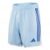 FC Schalke 04 Herren Auswärtsshorts 2023-24