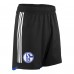 FC Schalke 04 Herren Alternative Shorts 2023-24