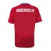 Hamburger SV Ausweichtrikot 2022-23