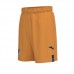 TSG Herren-Ausweichshorts 2023-24