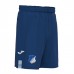TSG Herren Heimshorts 2023-24