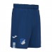 TSG Herren Heimshorts 2023-24