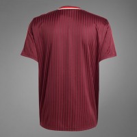 FC Bayern Erwachsene Terrace Icons Trikot 25-26