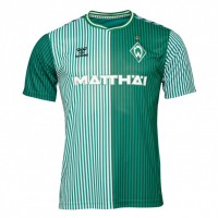 Werder Bremen Herren Heimtrikot 23-24