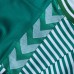 Werder Bremen Herren Heimtrikot 23-24