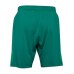 SV Werder Bremen Away Shorts 2021-22